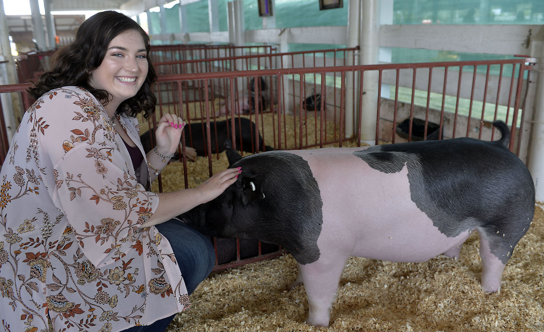 COUNTY FAIR GRAND CHAMPION SWINE